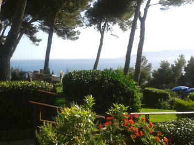 蒙泰亚尔真塔廖Porto S.Stefano Calapiccola公寓 外观 照片